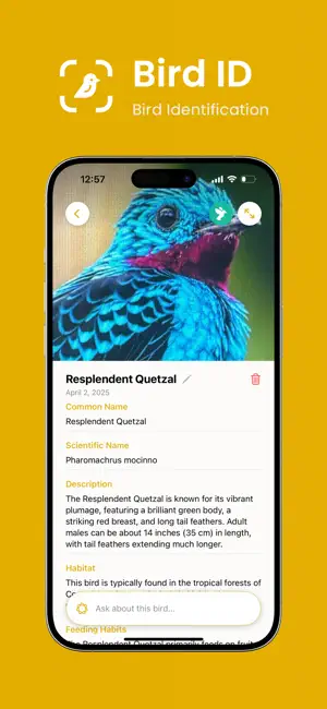 Bird Identifier AI: Bird ID screenshot 1