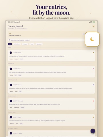 Luminas: Cosmic Journal iPad screenshot
