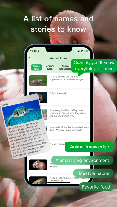Fantastic Animals Screenshot