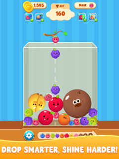 Fruit Drop Master screenshot 9
