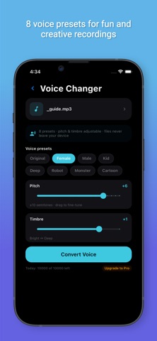 TS Video to MP3 iPhone screenshot