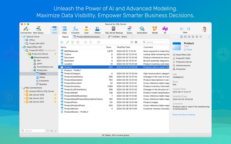 Navicat 17 for SQL Server app screenshot