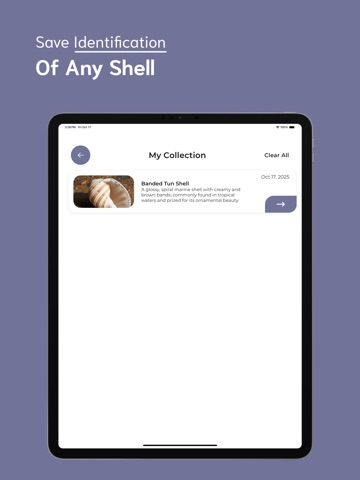 Shell Identifier - SI iPad screenshot