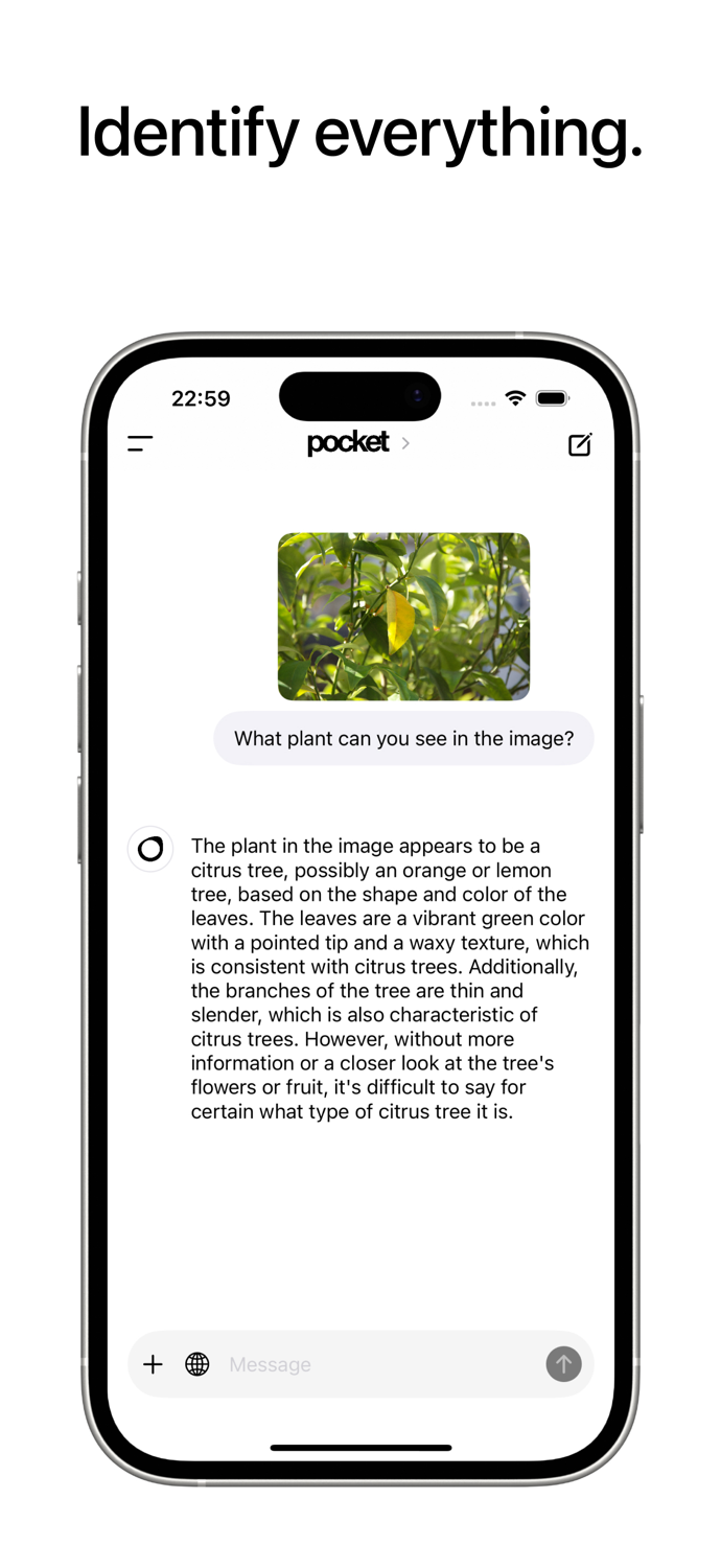 Local AI Chat - pocket