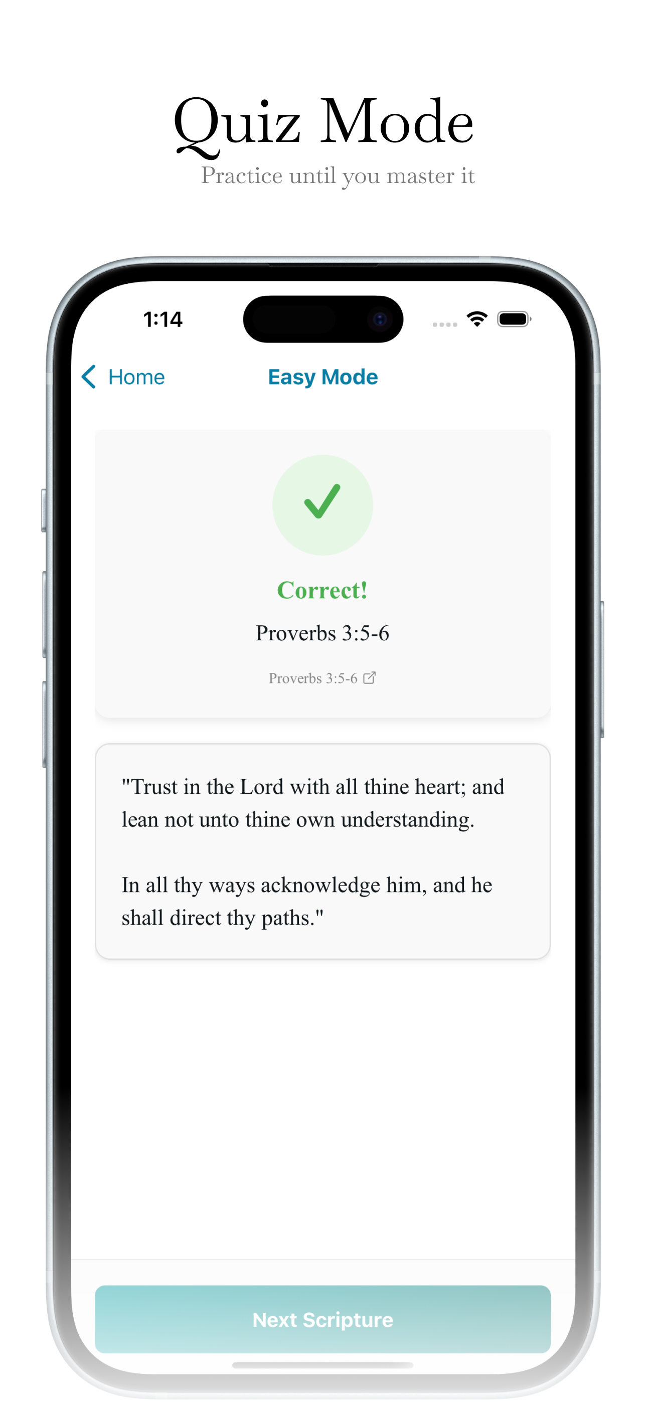 Scripture Mastery Pro