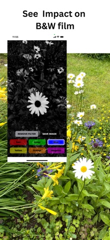 Filter Simulation Screenshot 2 of 4