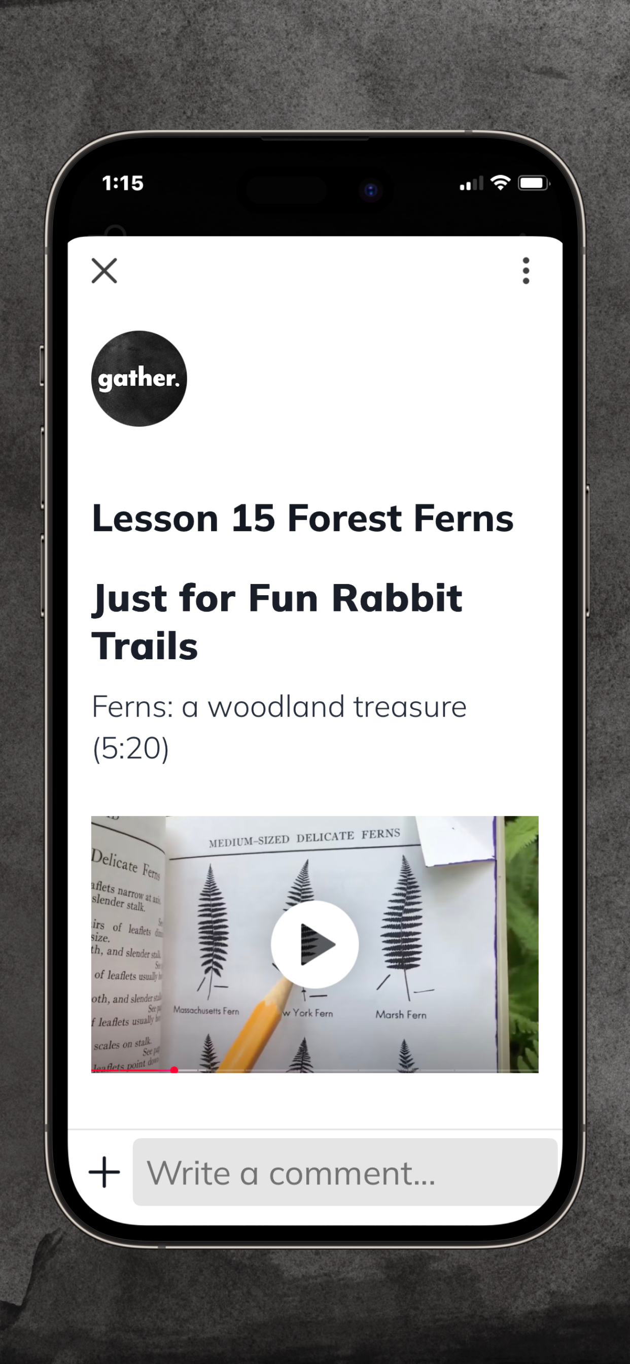 Gather ‘Round Homeschool screenshot 5