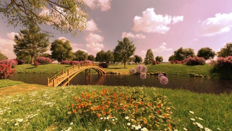 Miel by Studio Bahia