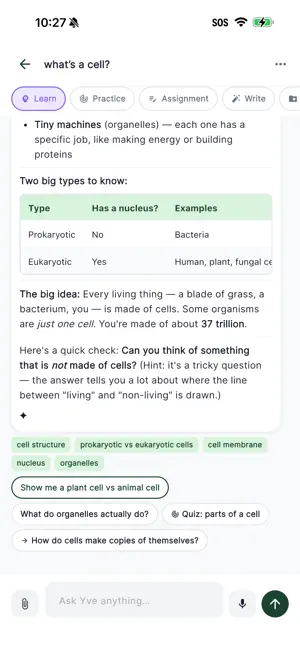 Yve AI Study Companion screenshot 4