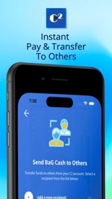 VANSi - Cash Advance screenshot