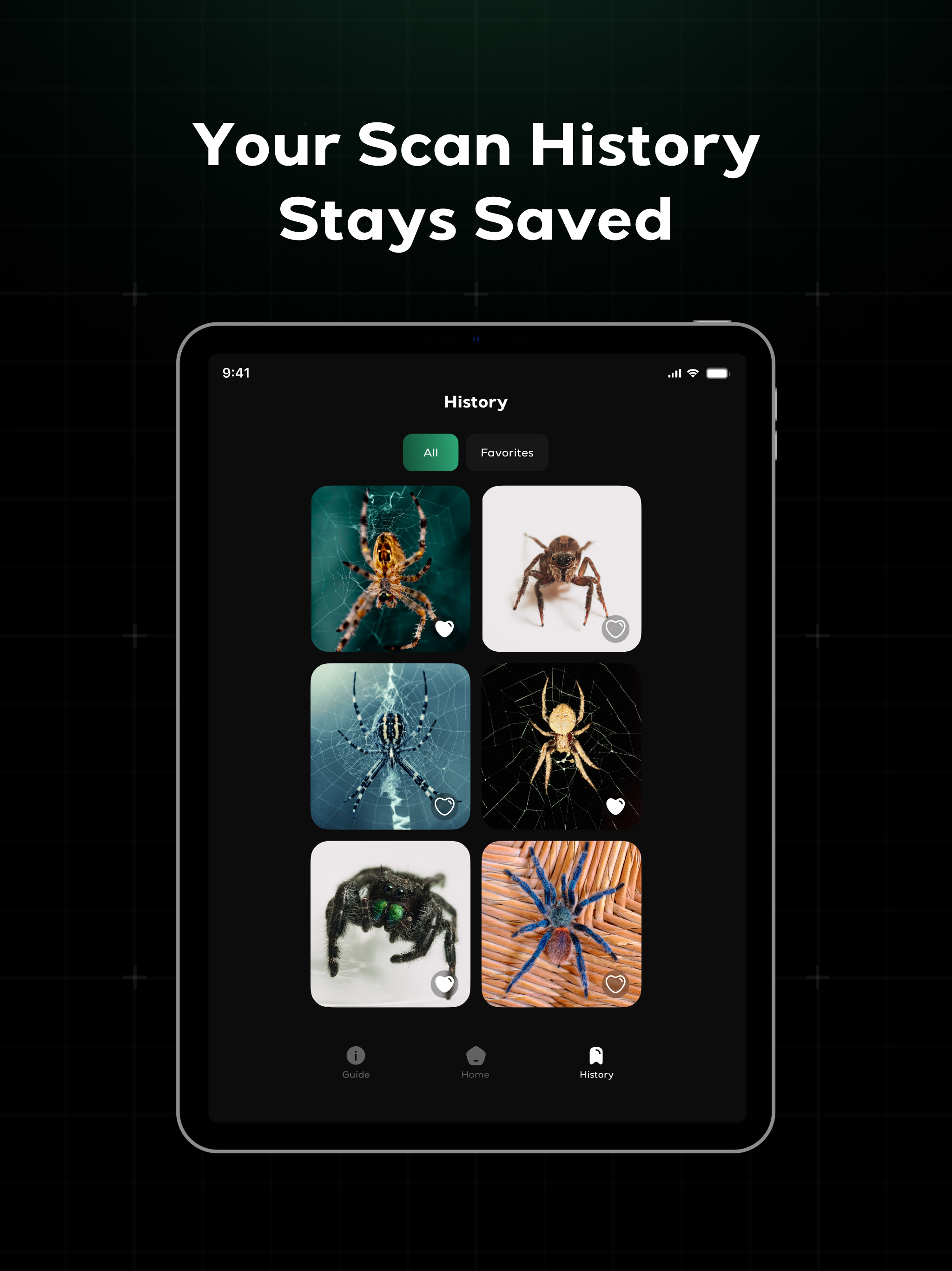 Spider Identifier - Insect ID screenshot 8