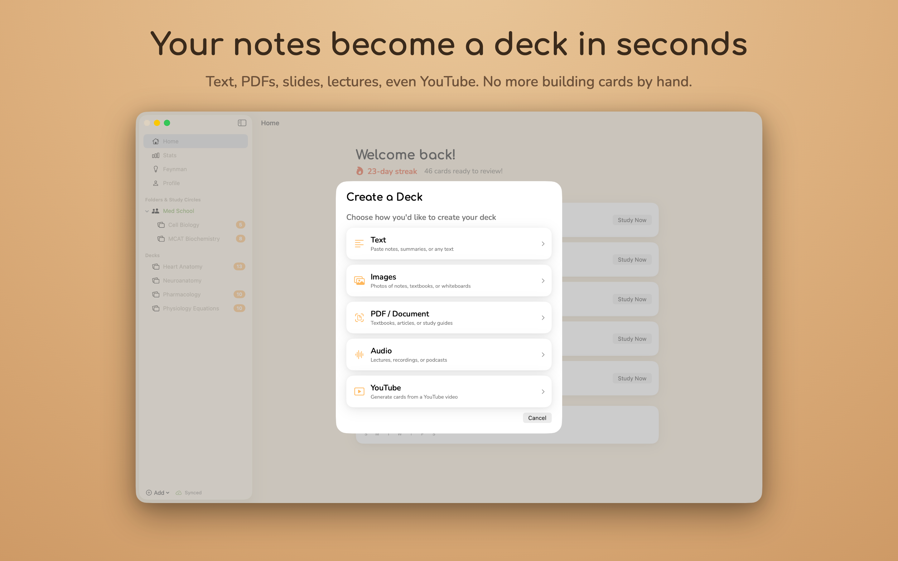 Ankra: AI Notes & Flashcards screenshot 22
