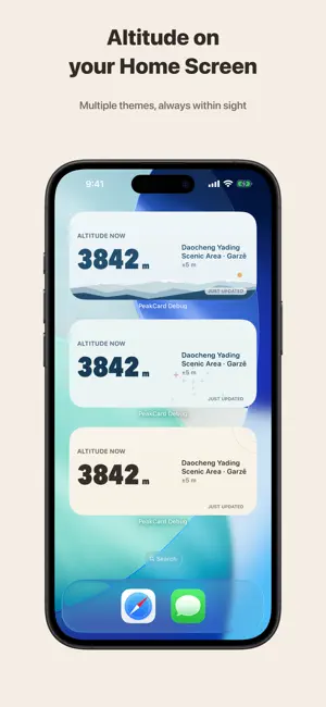PeakCard: Live Altimeter screenshot 4