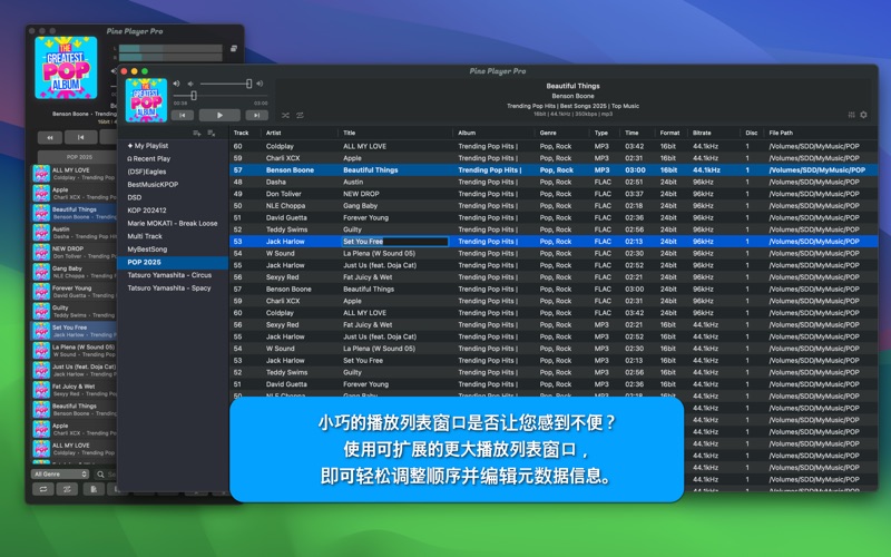 Pine Player Pro screenshot