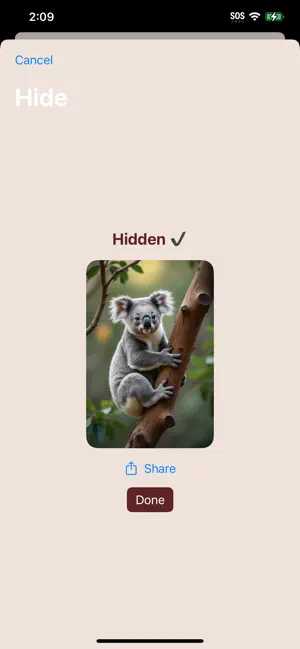 Hilia: Hide Secrets in Photos screenshot 4