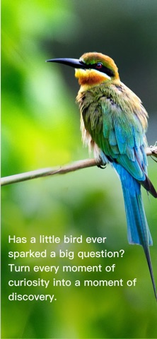PixBird-Identify birds by AI iPhone screenshot