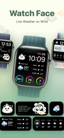 Panda Weather iPhone screenshot