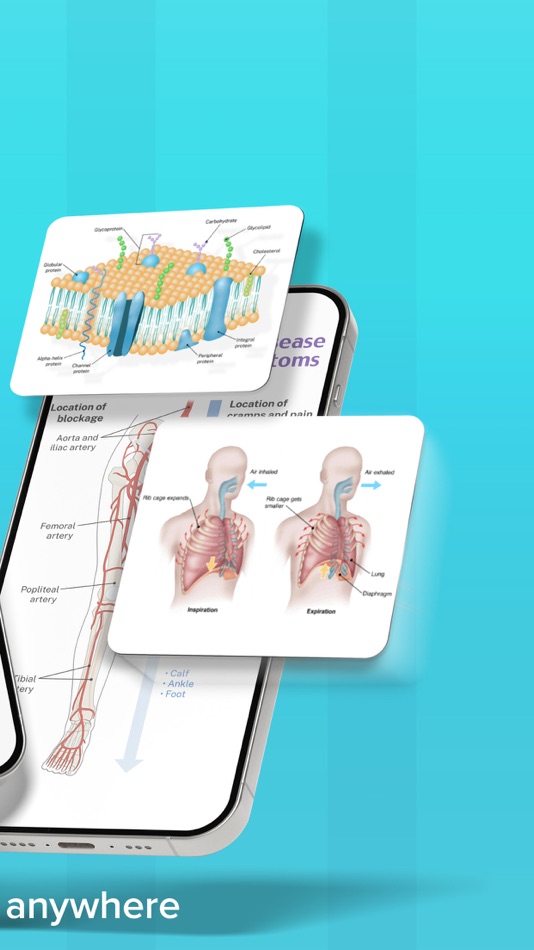 #2. Blueprint PA Prep (iOS) 由: BLUEPRINT TEST PREPARATION LLC