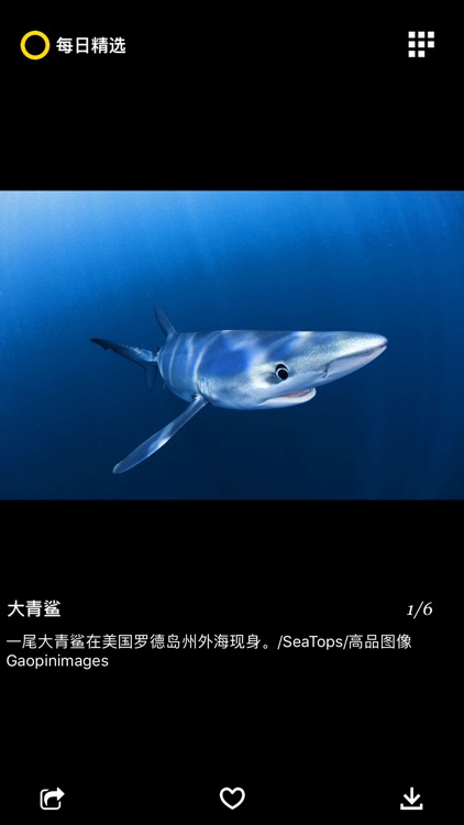 Daily Dozen-Culture in Photos