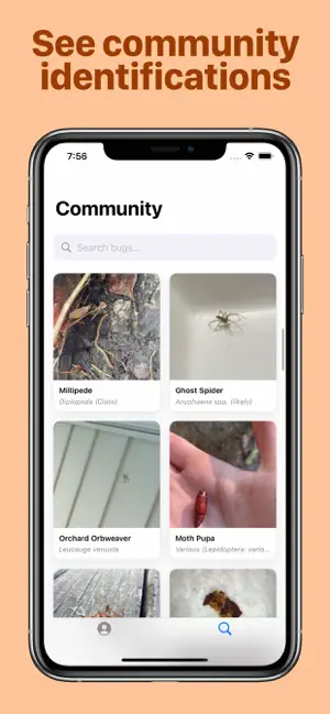 Bug Identifier screenshot 4