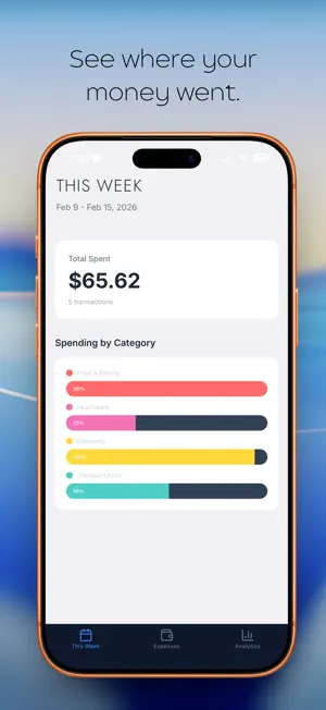 Spentzy screenshot 1