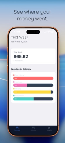 Spentzy screenshot