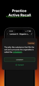 Studley: AI Study Tutor screenshot