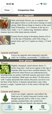 Minnesota Wildflowers Info. screenshot