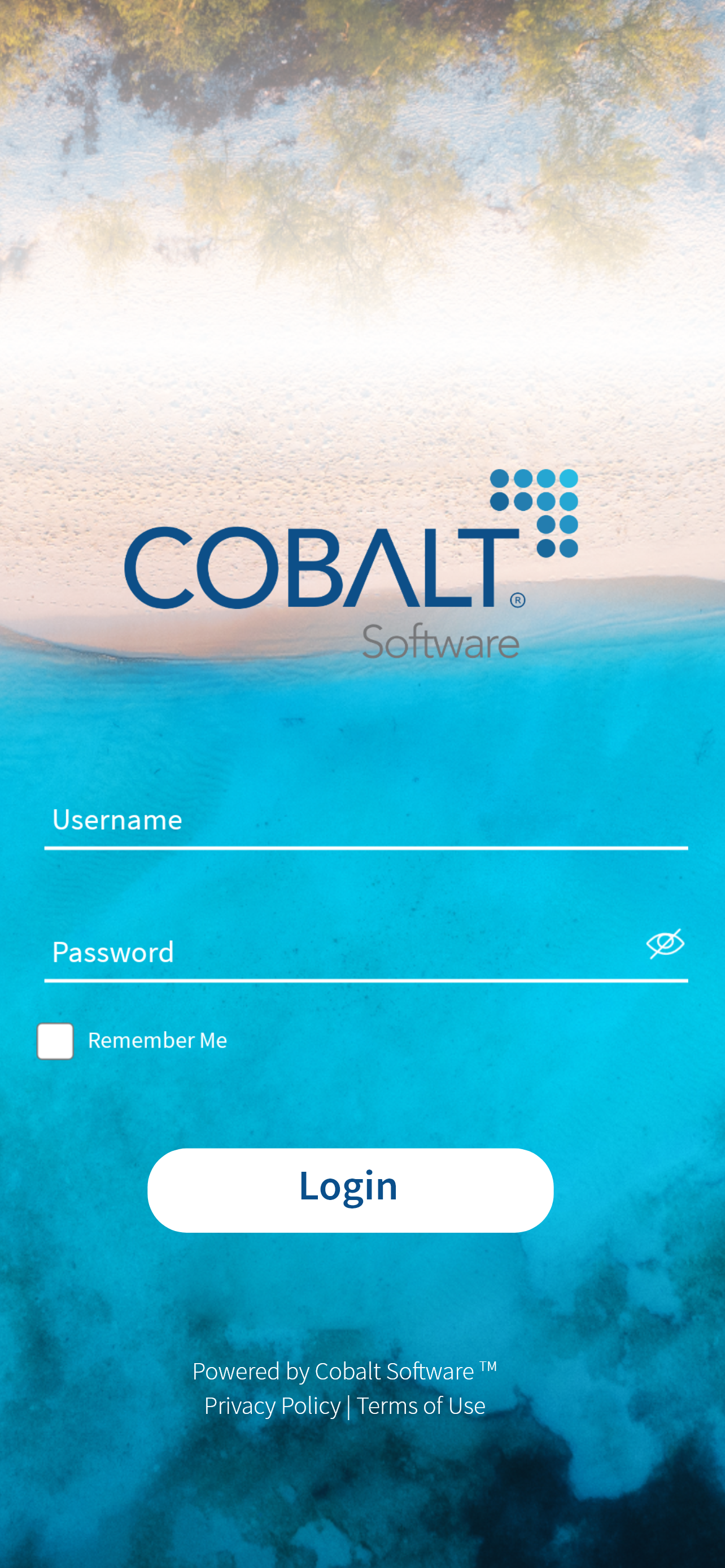 Cobalt Employee