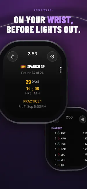 Purple Sector: F1 Widgets screenshot 2