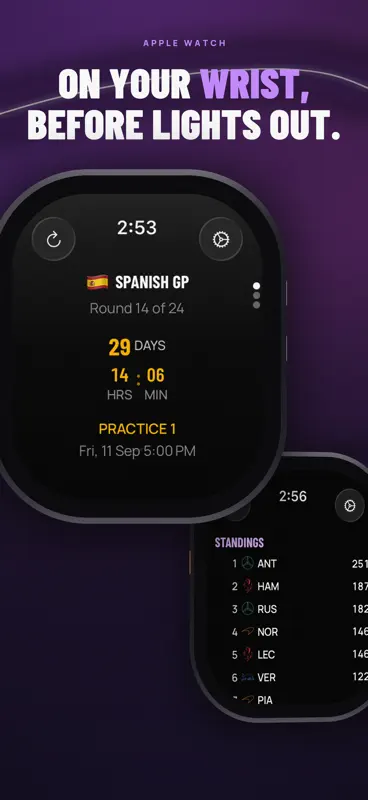 Purple Sector: F1 Widgets screenshot 2 of 9