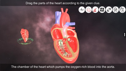 Heart - An incredible pump Screenshot
