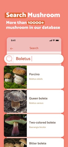 MushroomScan: Photo Identifier Screenshot 3 of 6