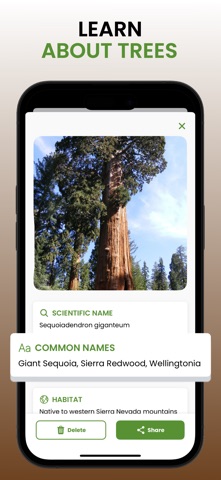 Tree Identifier Pro - ID Scan Screenshot 2 of 5