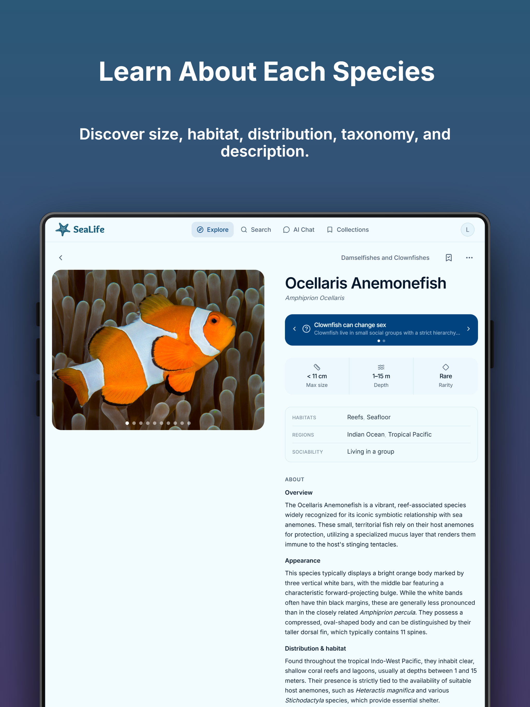 SeaLife: Explore Marine Life screenshot 6