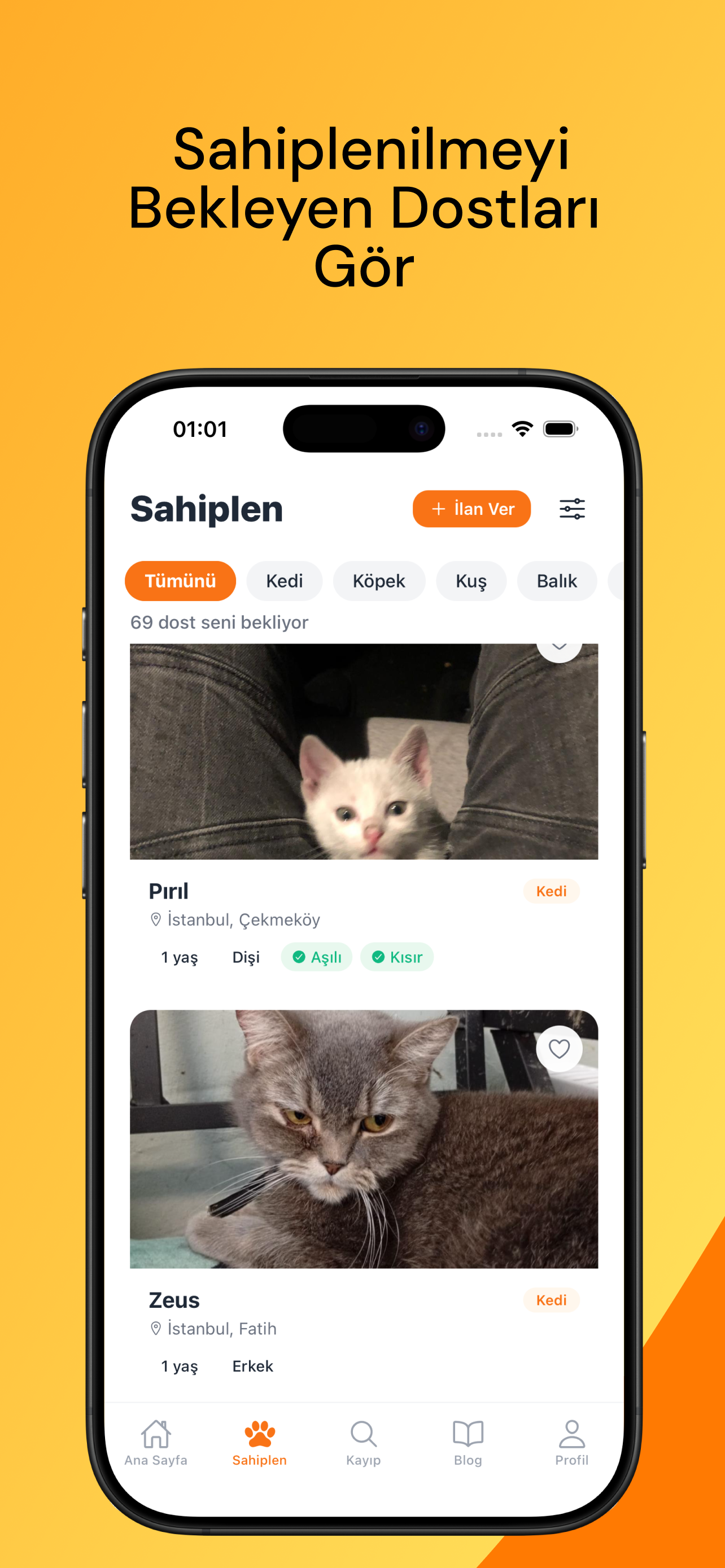 CatPet: Hayvansever Topluluğu