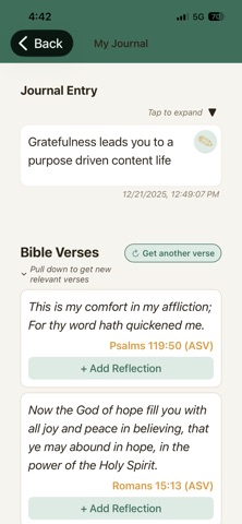 Bible Mental Health Journal iPhone screenshot