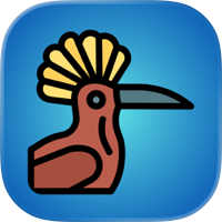 Verbify. Hebrew Verb Trainer.