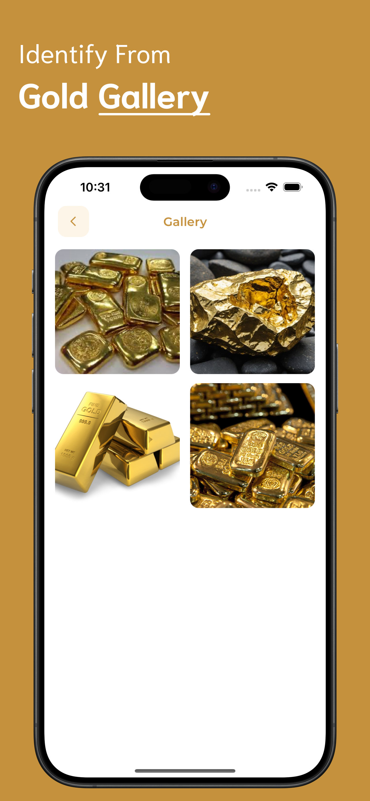 Gold Identifier