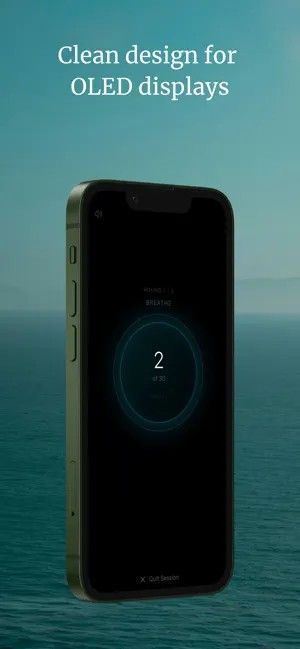 Assasa screenshot 2