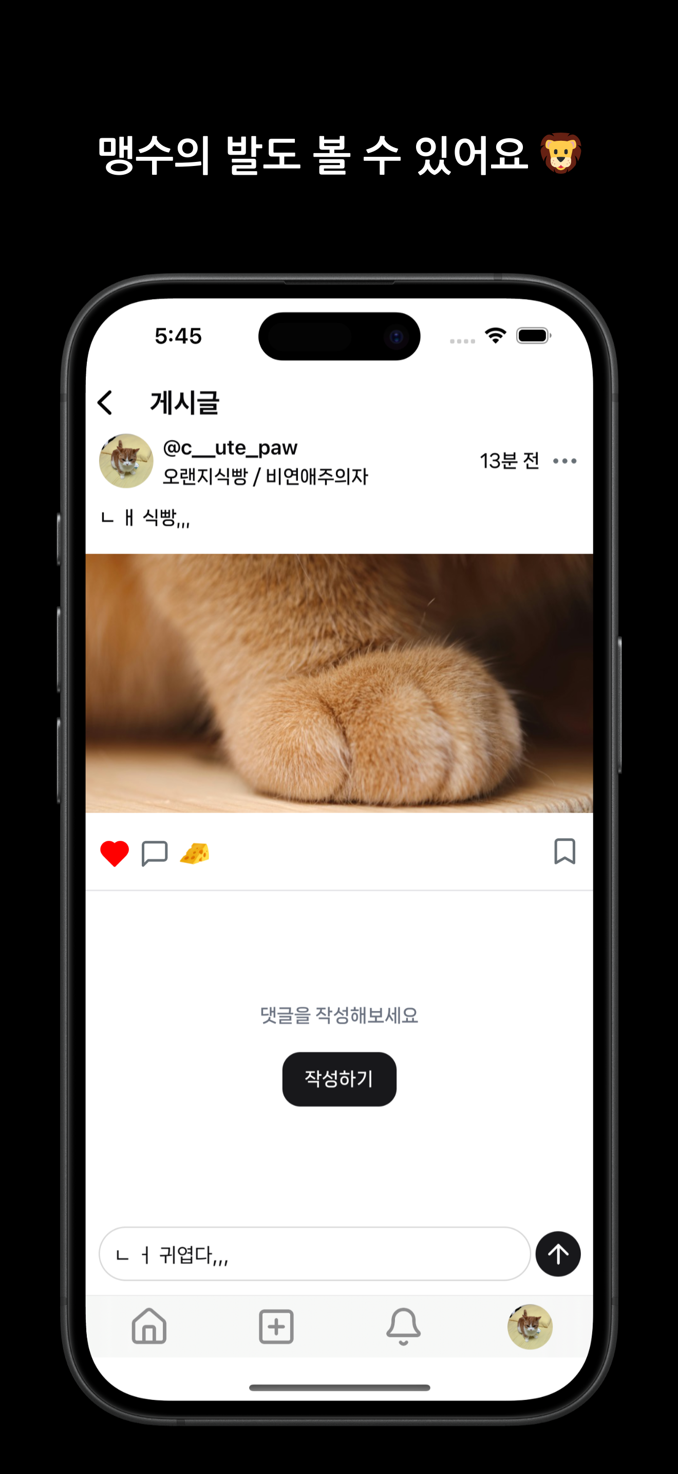 온리펫츠 screenshot 3