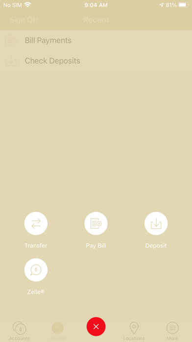 LSB On The Go Screenshot
