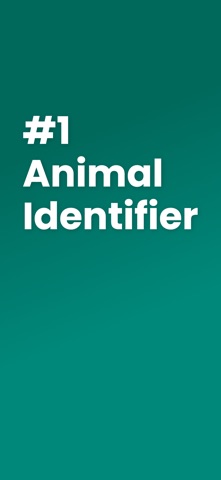 Animal Identifier: FaunaID iPhone screenshot