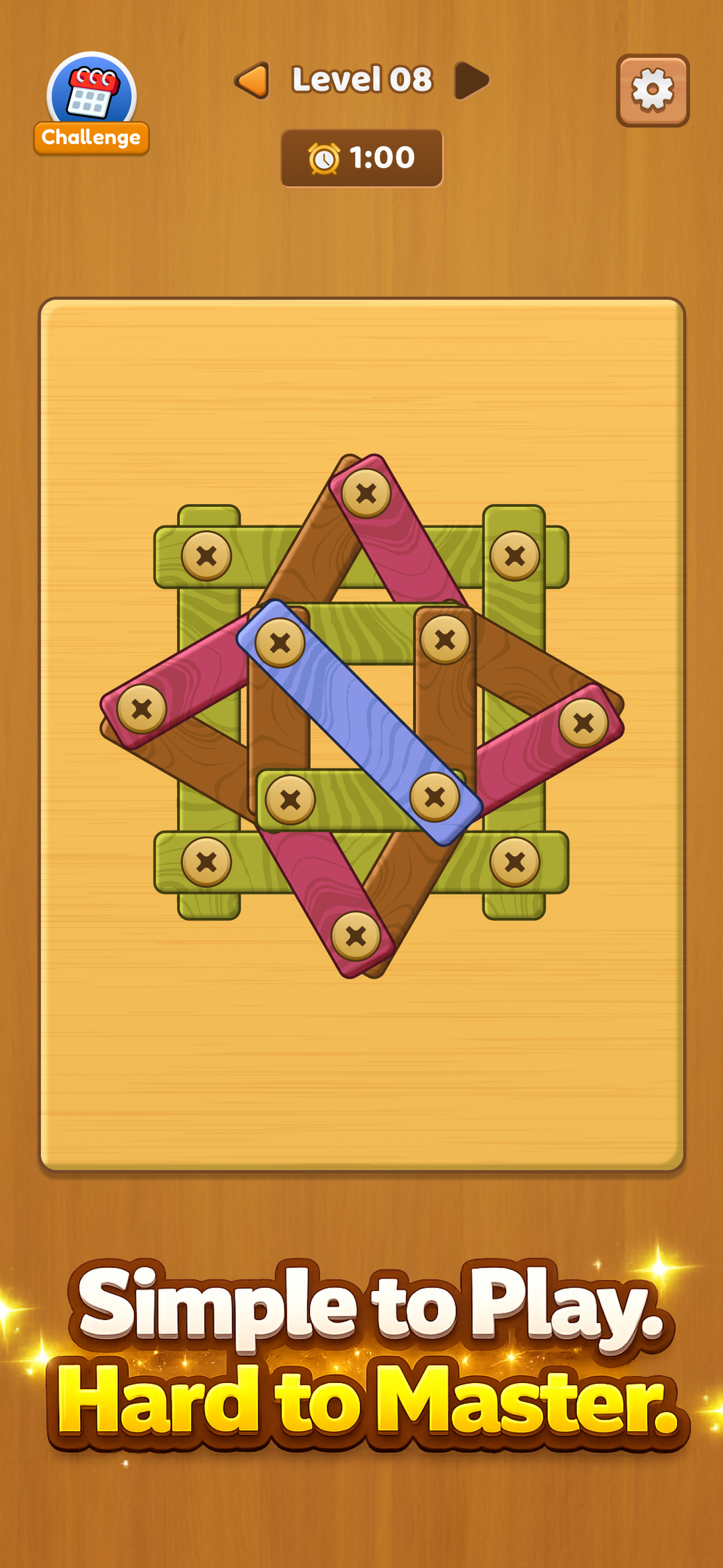 Nuts and Bolts: Screw Puzzles screenshot 5