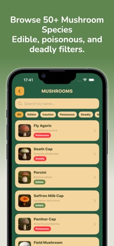 Mushroom Scan Screenshot 5 of 6