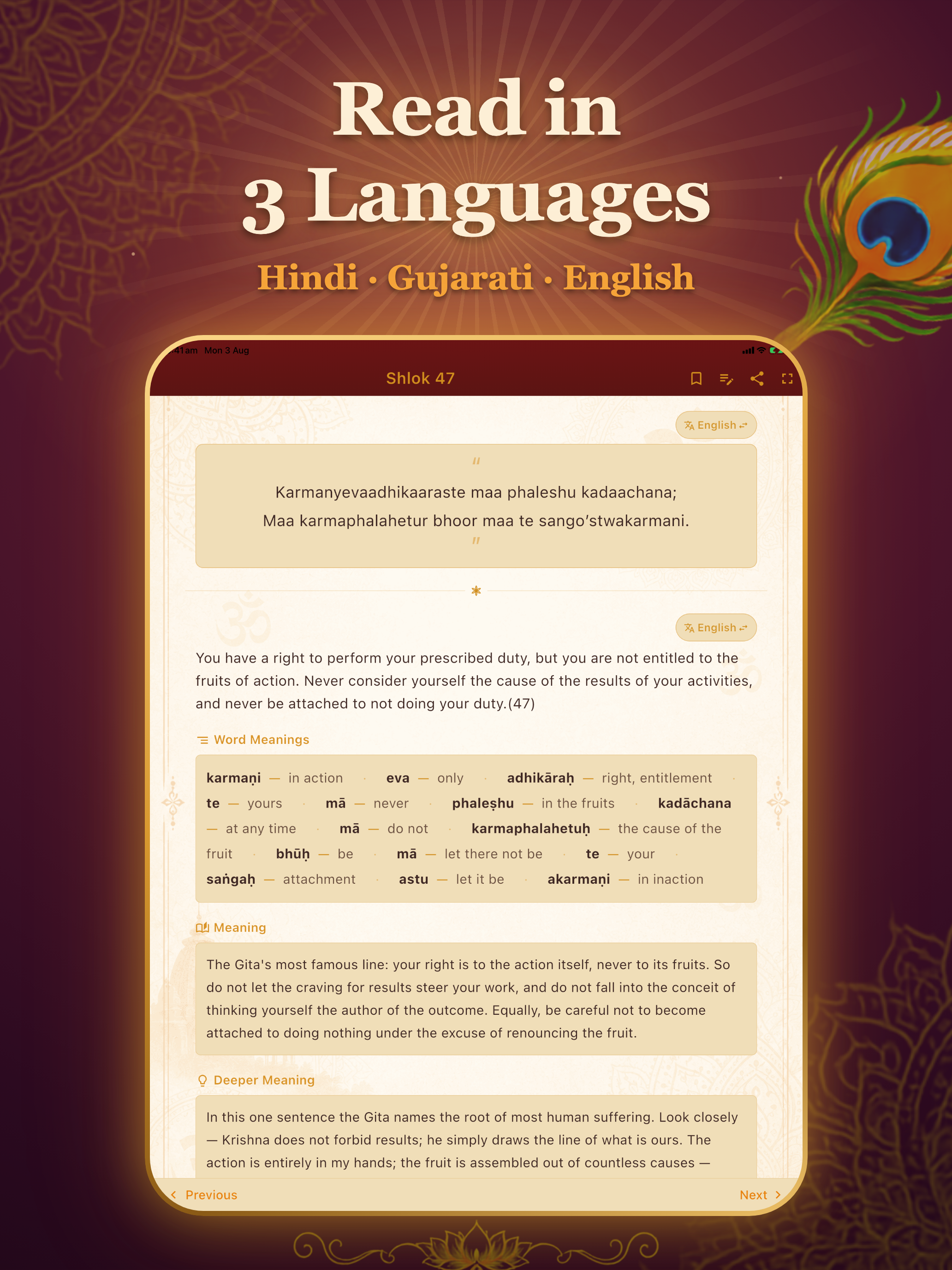 Shrimad Bhagavad Gita Gyan screenshot 10