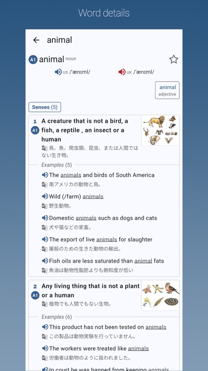 English-Japanese Dictionary JP