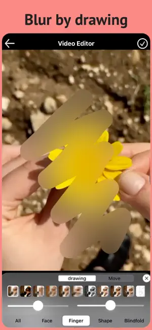 Blur Video & Mosaic screenshot 4
