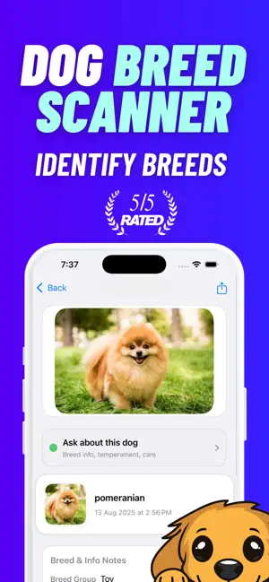 Dog Breed Identifier: Pawfect screenshot 1