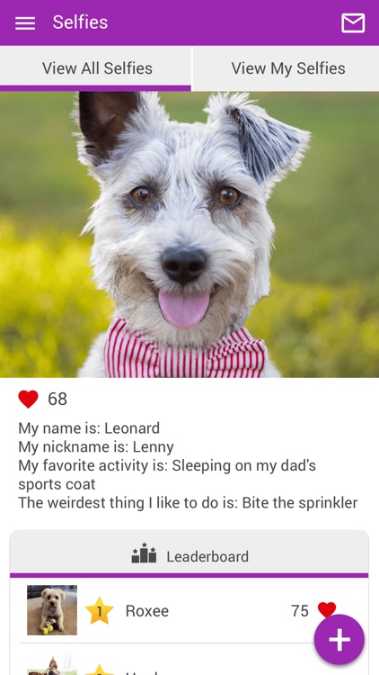 Imperial HAC Vet screenshot-3